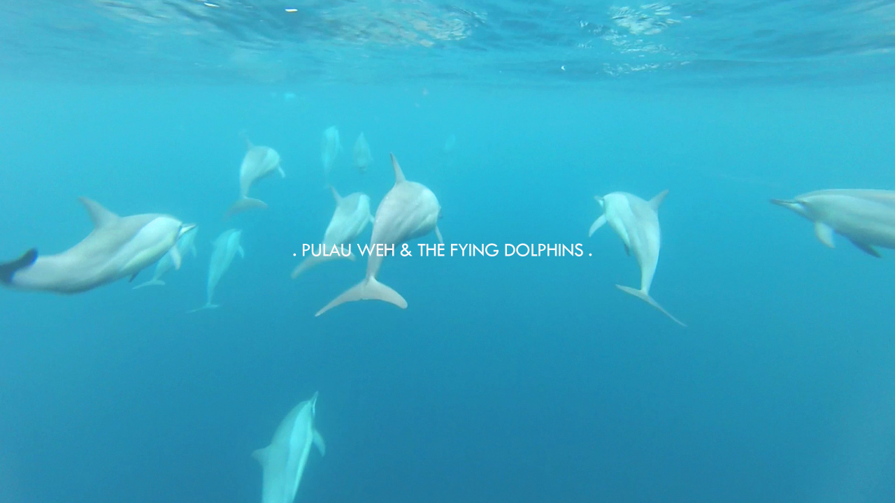 Pulau Weh & The Flying Dolphins
