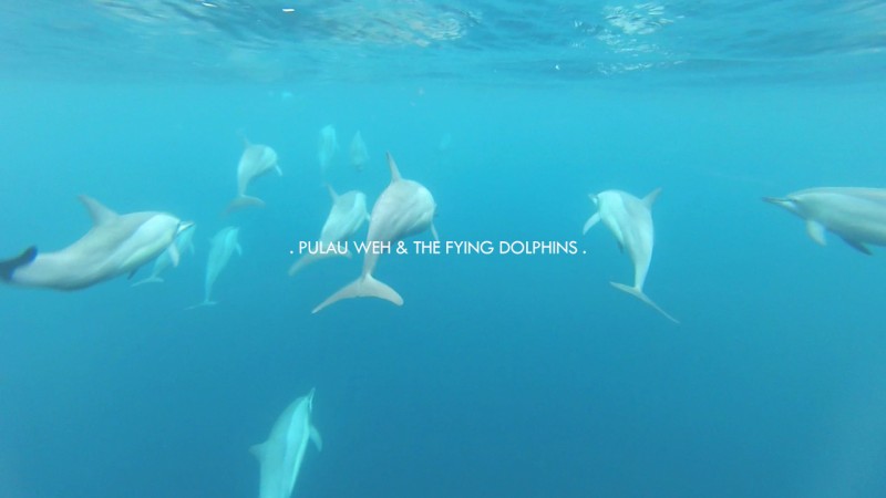 Pulau Weh & The Flying Dolphins