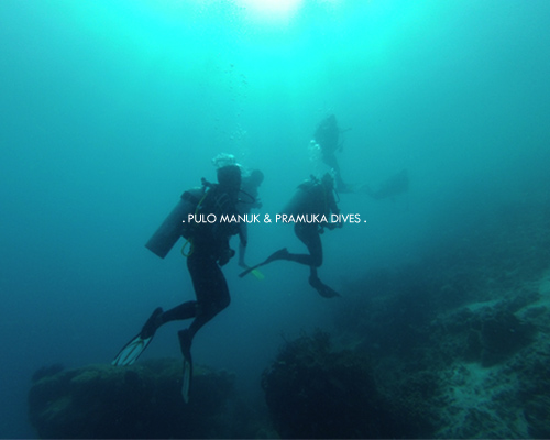 Pulo Manuk & Pramuka Dives